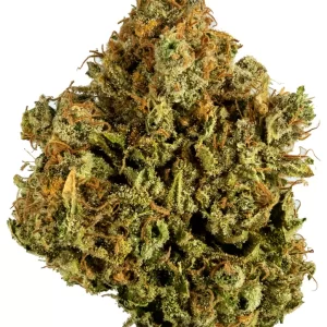 White widow CBD - CBD Shop Náchod