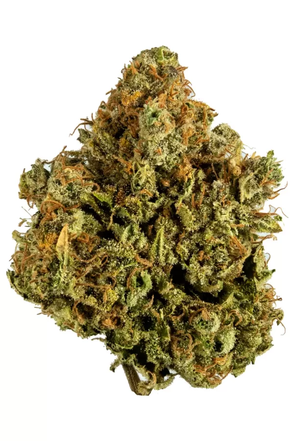 White widow CBD - CBD Shop Náchod