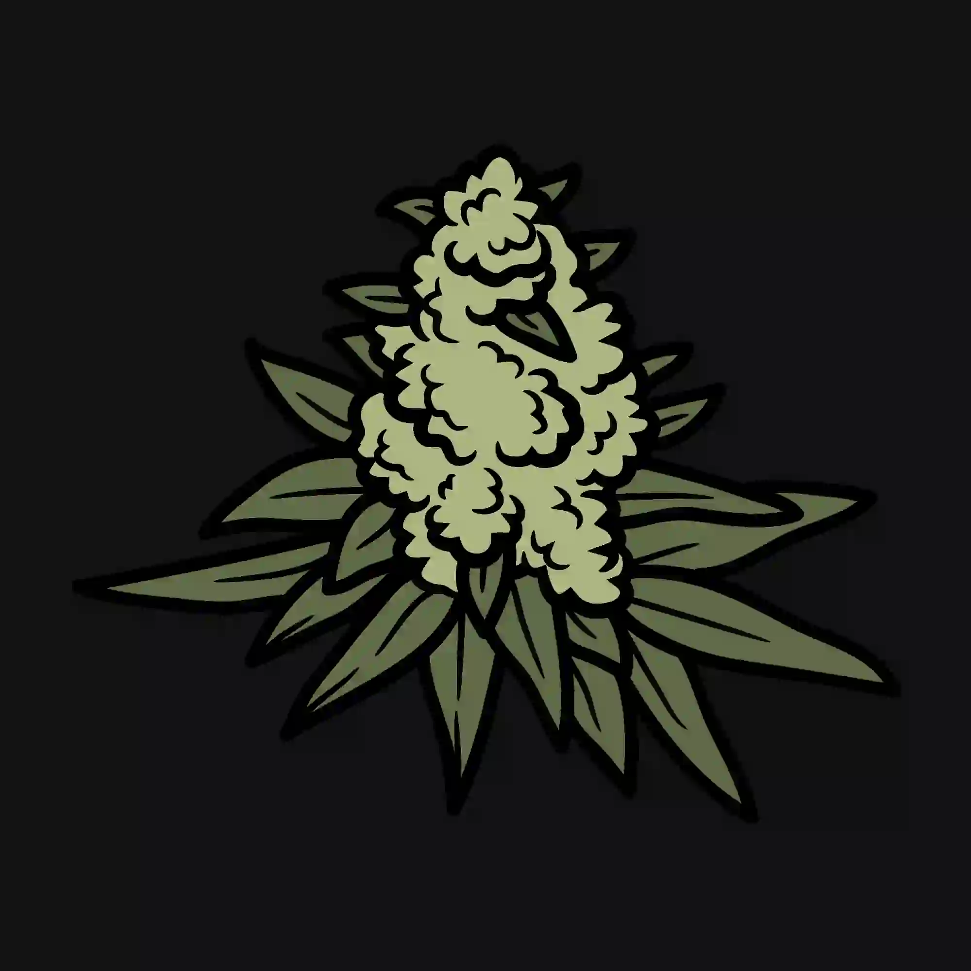 Kategorie CBD produkty